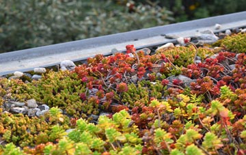 the cost of Rolstone green roof installation